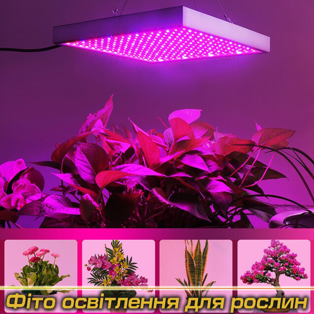 Фіто світильники під Замовлення (Виробництво)