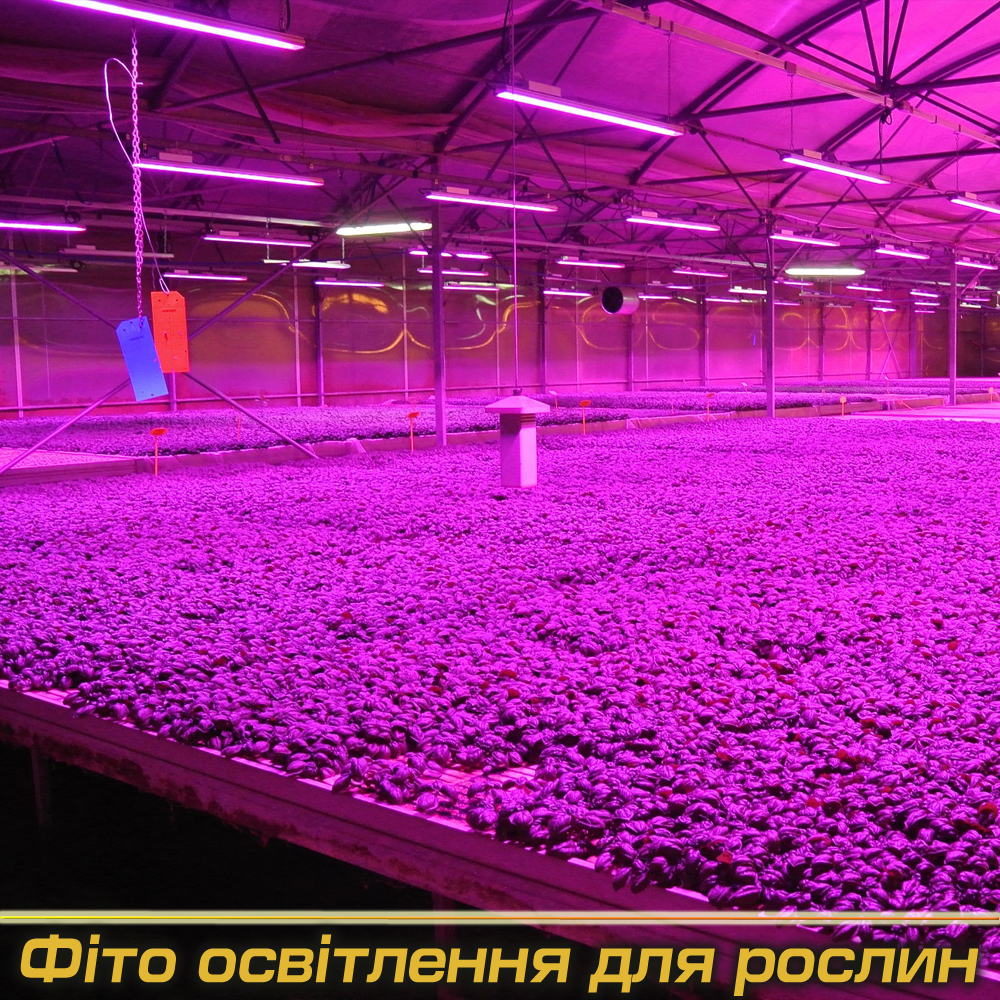 Фіто світильники під Замовлення (Виробництво)