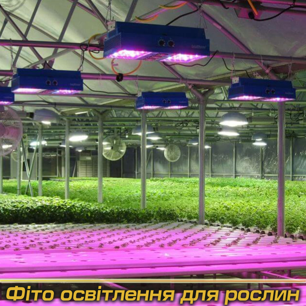 Фіто світильники під Замовлення (Виробництво)