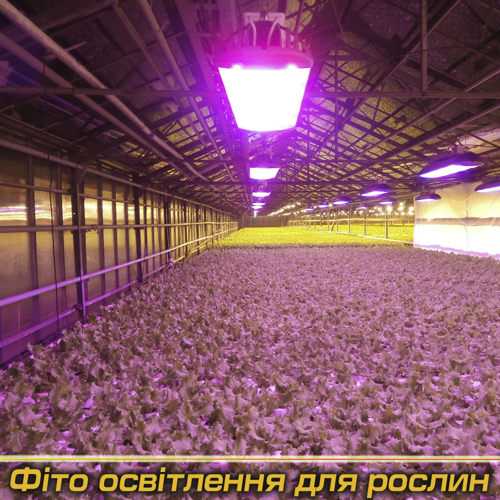 Фіто світильники під Замовлення (Виробництво)