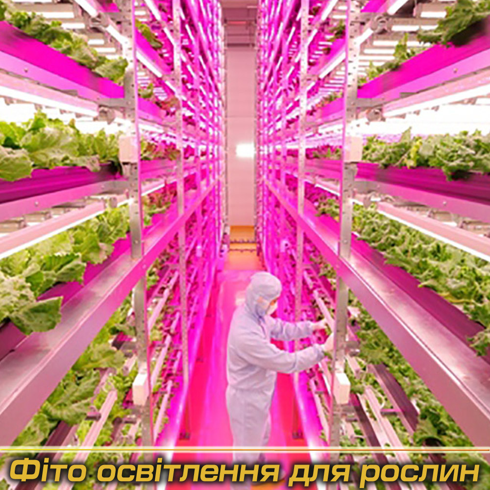 Фіто світильники під Замовлення (Виробництво)